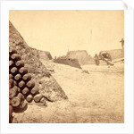 Shells in Putnam, Charleston Harbor, S.C. by Anonymous