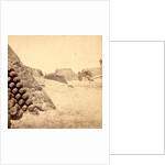 Shells in Putnam, Charleston Harbor, S.C. by Anonymous