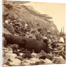 Sea face of Fort Sumpte, shewing (i.e. showing) broken guns, shot, shell, & c by Anonymous