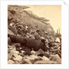 Sea face of Fort Sumpte, shewing (i.e. showing) broken guns, shot, shell, & c by Anonymous