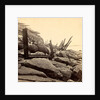 Sea face of Fort Sumpte, shewing (i.e. showing) broken guns &c by Anonymous