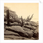 Sea face of Fort Sumpte, shewing (i.e. showing) broken guns &c by Anonymous