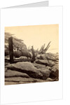 Sea face of Fort Sumpte, shewing (i.e. showing) broken guns &c by Anonymous