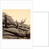Sea face of Fort Sumpte, shewing (i.e. showing) broken guns &c by Anonymous