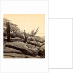 Sea face of Fort Sumpte, shewing (i.e. showing) broken guns &c by Anonymous