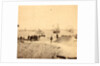 View from the parapet of Fort Sumpte, with Charleston in the distance by Anonymous