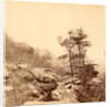 View on the top of Lookout Mountain, Tenn., USA by Anonymous