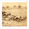 Dead soldiers lying side by side in a field, USA by Anonymous