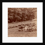 Union (i.e. Confederate) dead at Gettysburg, USA by Anonymous