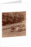 Union (i.e. Confederate) dead at Gettysburg, USA by Anonymous