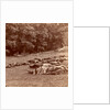 Union (i.e. Confederate) dead at Gettysburg, USA by Anonymous