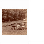 Union (i.e. Confederate) dead at Gettysburg, USA by Anonymous