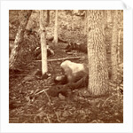 The slaughter pen at Gettysburg, USA by Anonymous