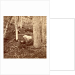 The slaughter pen at Gettysburg, USA by Anonymous