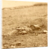 The horrors of war, USA by Anonymous