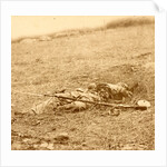 The horrors of war, USA by Anonymous