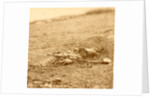 The horrors of war, USA by Anonymous