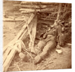 Confederate dead on the battlefield, USA by Anonymous