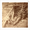 Confederate dead on the battlefield, USA by Anonymous