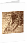 Confederate dead on the battlefield, USA by Anonymous