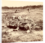 Collecting remains of the dead, USA by Anonymous