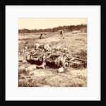 Collecting remains of the dead, USA by Anonymous