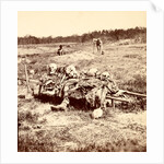 Collecting remains of the dead, USA by Anonymous