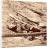 Dead Confederate soldier in the trenches, USA by Anonymous