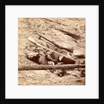 Dead Confederate soldier in the trenches, USA by Anonymous