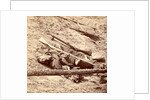 Dead Confederate soldier in the trenches, USA by Anonymous