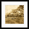 Burial of the Union dead at Fredericksburg, December 15, 1862 by Anonymous