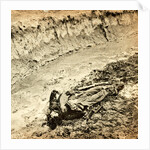 Dead Confederate soldier in the trenches of Fort Mahone, Petersburg, Virginia, USA by Anonymous