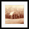 Winter quarters of the Engineer Corps., USA by Anonymous