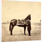 General Grant & his war horse, USA by Anonymous