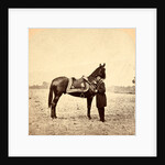 General Grant & his war horse, USA by Anonymous
