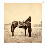 General Grant & his war horse, USA by Anonymous
