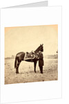 General Grant & his war horse, USA by Anonymous