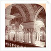 A poem in marble columns and frescoed walls, Congressional Library, Washington, DC, USA by Anonymous