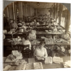 Inspecting sheets of paper money, Bureau of Printing and Engraving, Washington, D.C., USA by Anonymous