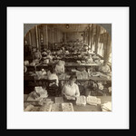 Inspecting sheets of paper money, Bureau of Printing and Engraving, Washington, D.C., USA by Anonymous