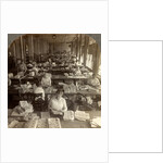 Inspecting sheets of paper money, Bureau of Printing and Engraving, Washington, D.C., USA by Anonymous