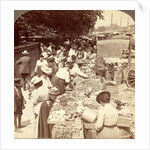 Fruits of the sunny south and their buyers, in famous old Centre Market by Anonymous