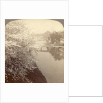 Cherry-blossoms along the moat surrounding the Imperial Palace Park, Tokyo, Japan by Anonymous