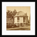Dancing pavilion, on stump of big tree, USA by Anonymous