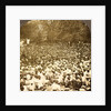 The surging throng listening to address of President Roosevelt on River Commons, Wilkes-Barre, Pa., Aug. 10, 1905., USA by Anonymous