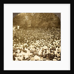 The surging throng listening to address of President Roosevelt on River Commons, Wilkes-Barre, Pa., Aug. 10, 1905., USA by Anonymous
