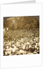 The surging throng listening to address of President Roosevelt on River Commons, Wilkes-Barre, Pa., Aug. 10, 1905., USA by Anonymous