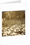 The surging throng listening to address of President Roosevelt on River Commons, Wilkes-Barre, Pa., Aug. 10, 1905., USA by Anonymous