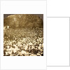 The surging throng listening to address of President Roosevelt on River Commons, Wilkes-Barre, Pa., Aug. 10, 1905., USA by Anonymous