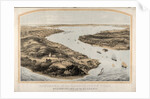 Panorama of the harbor of New York, Staten Island and the narrows by Anonymous